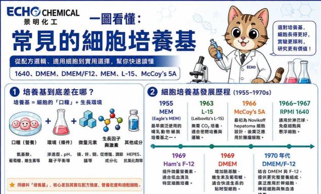 景明 ECHO｜常見細胞培養基解析：不只是養細胞，更是影響實驗品質的第一步